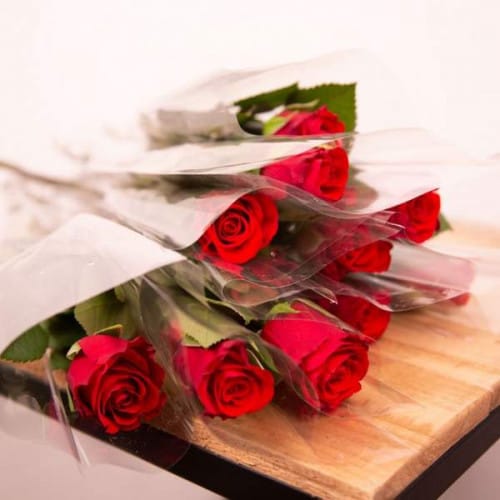 UNE ROSE UN COUP DE FOUDRE
